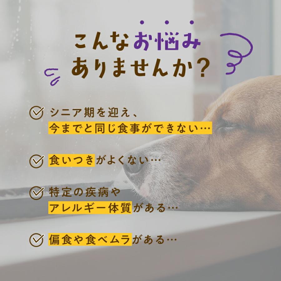 white fox ホワイトフォックス 愛犬用 手づくりごはんベース BASE DELI
