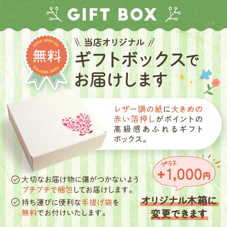 2枚セット 6重織ガーゼケット 前ボタンタイプ 出産祝い 名入れ刺繍 日本製 ガーゼケット 送料無料 六重ガーゼ ベビー キッズ ギフト_15
