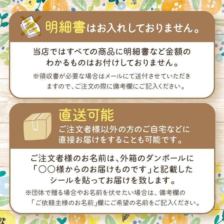 2枚セット 6重織ガーゼ スリーパー 前ボタンタイプ 出産祝い 名入れ刺繍 日本製 6重ガーゼスリーパー 送料無料 六重ガーゼ ベビー キッズ ギフト｜best-gift｜19