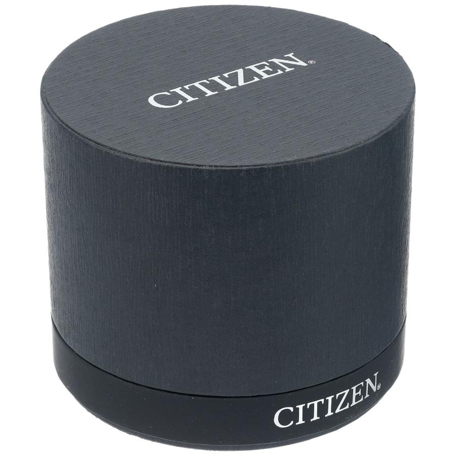 CITIZEN シチズン クォーツ メンズ腕時計 BF5004-93A ツートーン エクスパンションバンド ホワイトダイヤル 日付・曜日表示 ステンレスの画像