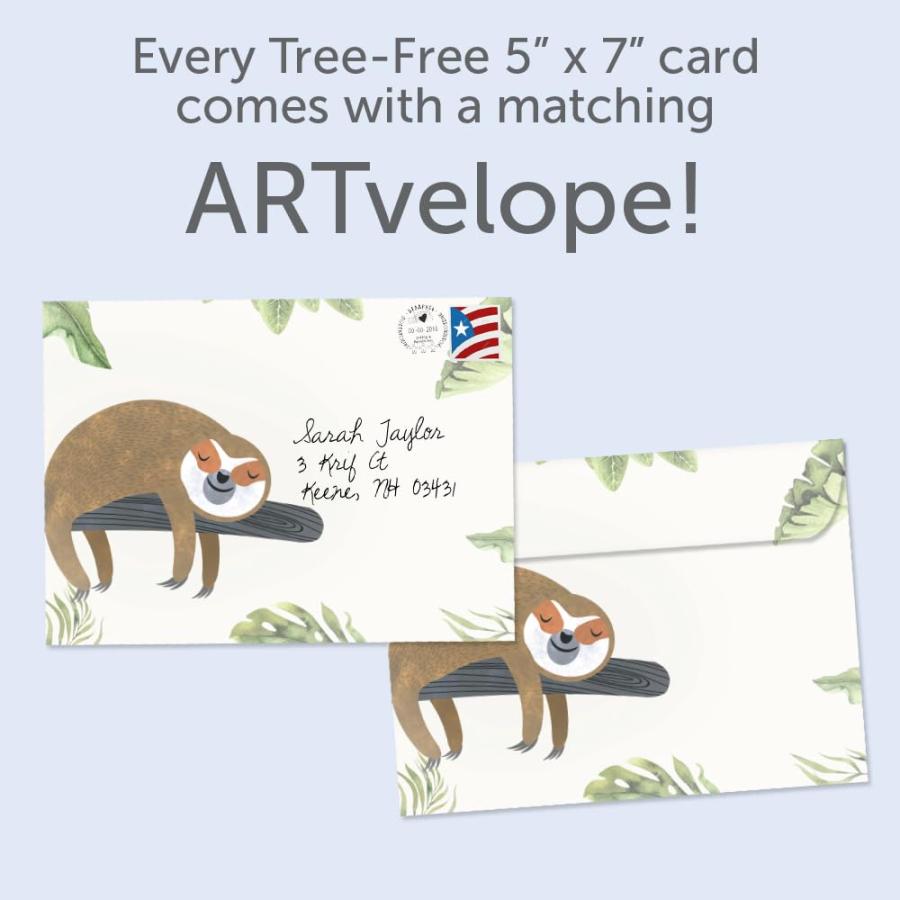 Tree-Free Greetings カード2枚パック お揃いの封筒付き 環境に優しい 米国製 100%再生紙 5インチx7インチ ナマケモノ スローレーン Get Well (GT19592)_1