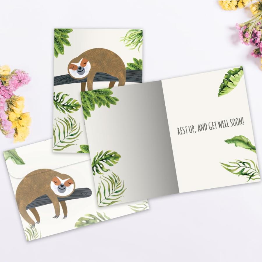 Tree-Free Greetings カード2枚パック お揃いの封筒付き 環境に優しい 米国製 100%再生紙 5インチx7インチ ナマケモノ スローレーン Get Well (GT19592)_2