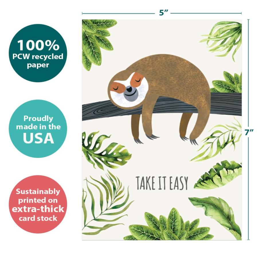 Tree-Free Greetings カード2枚パック お揃いの封筒付き 環境に優しい 米国製 100%再生紙 5インチx7インチ ナマケモノ スローレーン Get Well (GT19592)_3