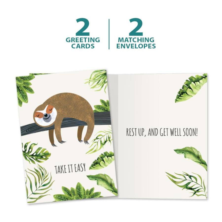 Tree-Free Greetings カード2枚パック お揃いの封筒付き 環境に優しい 米国製 100%再生紙 5インチx7インチ ナマケモノ スローレーン Get Well (GT19592)_4
