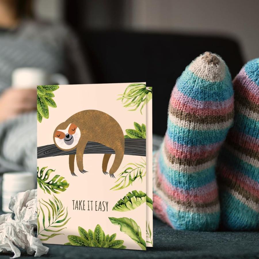 Tree-Free Greetings カード2枚パック お揃いの封筒付き 環境に優しい 米国製 100%再生紙 5インチx7インチ ナマケモノ スローレーン Get Well (GT19592)_6