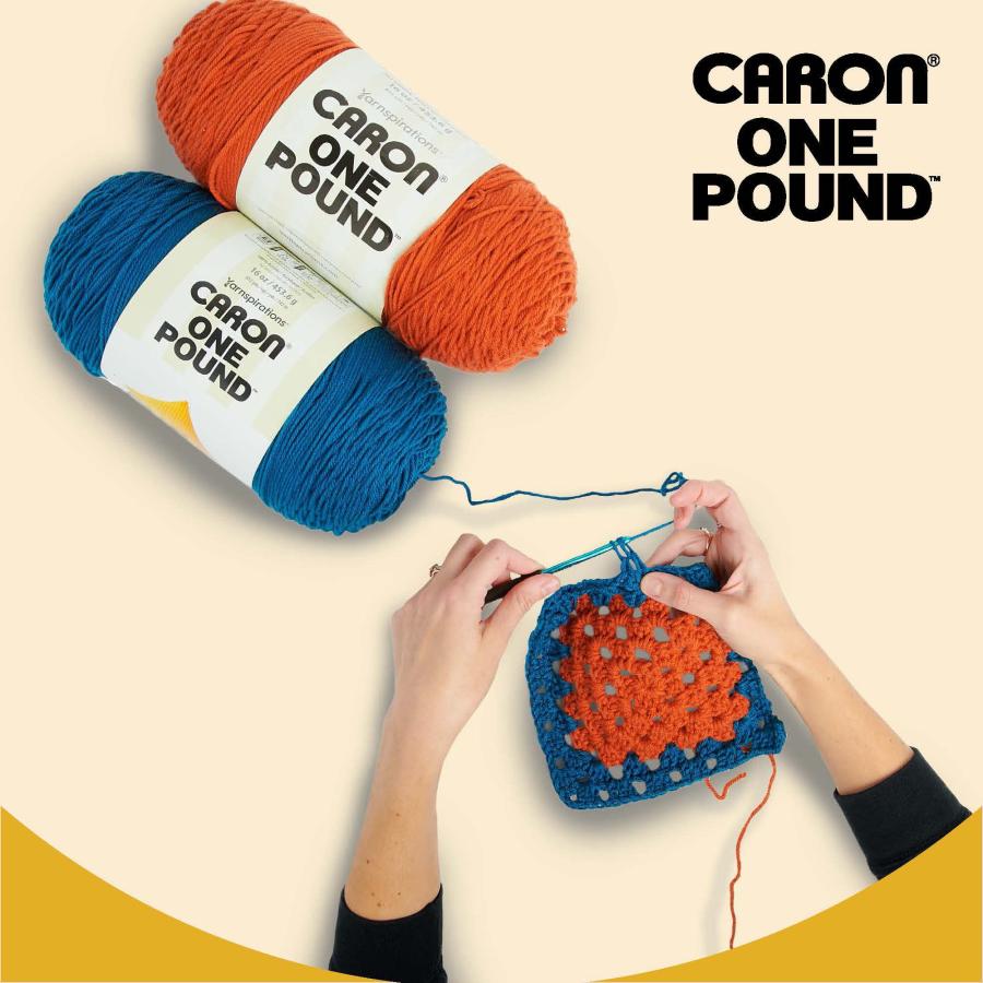Caron One Pound アクリル毛糸 2玉セット 各454g ワーステッド エスプレッソ 編み物・かぎ針編み用_2