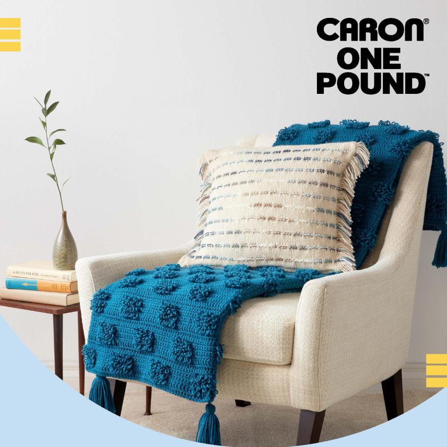 Caron One Pound アクリル毛糸 2玉セット 各454g ワーステッド エスプレッソ 編み物・かぎ針編み用_3