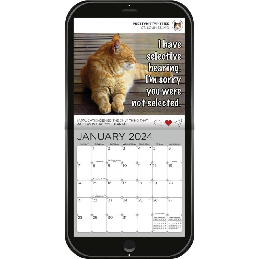 Turner 写真キャットチャットターナー フォトダイカット 壁掛けカレンダー (24998940092)_2