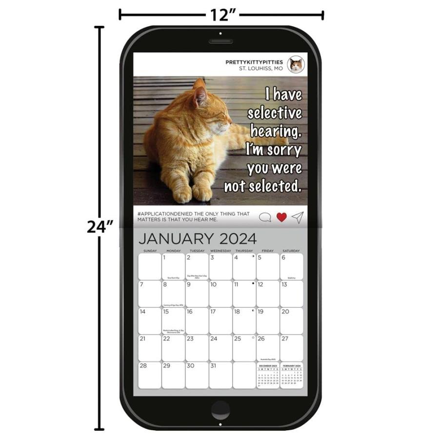 Turner 写真キャットチャットターナー フォトダイカット 壁掛けカレンダー (24998940092)_5