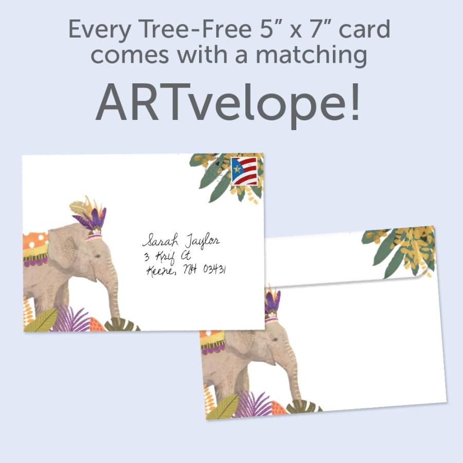 Tree-Free Greetings バースデーグリーティングカード 2パック 環境に優しい 米国製 100%再生紙 5インチx7インチ 大きな願い(GT65288)