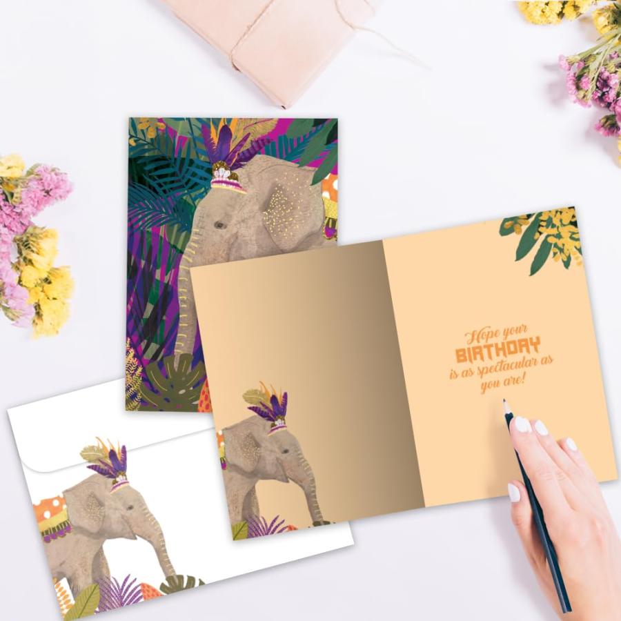 Tree-Free Greetings バースデーグリーティングカード 2パック 環境に優しい 米国製 100%再生紙 5インチx7インチ 大きな願い(GT65288)