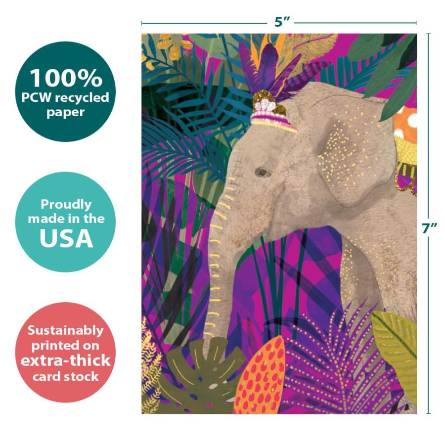 Tree-Free Greetings バースデーグリーティングカード 2パック 環境に優しい 米国製 100%再生紙 5インチx7インチ 大きな願い(GT65288)