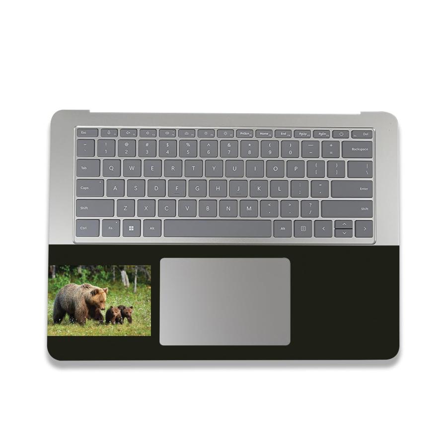 MightySkins Microsoft Surface Laptop Studio 2 (2023) 用ビニールスキン「Grizzly」保護デカールラップ 着脱簡単の画像