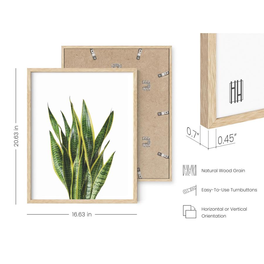 HAUS AND HUES 植物写真セット 4-16x20 フレーム入りベージュ_2