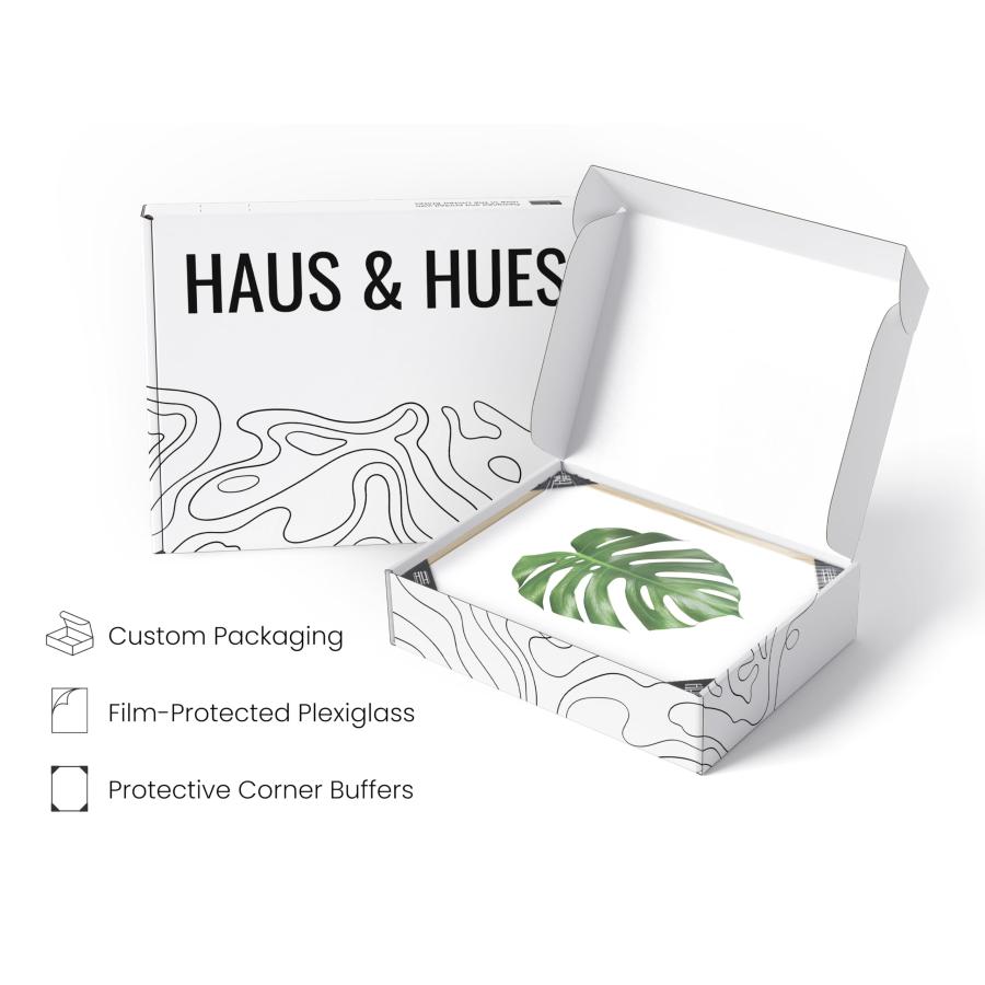 HAUS AND HUES 植物写真セット 4-16x20 フレーム入りベージュ_3