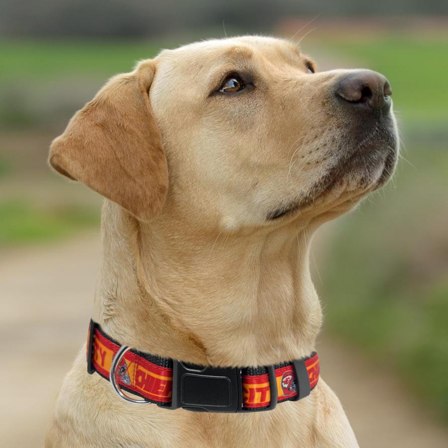 New ＆ Improved Pets First NFL ライセンス PET 首輪 - ヘビーデューティー、強く、耐久性のある新しい犬の首輪32のフットボールチームと4つのサイズで利用可能_4