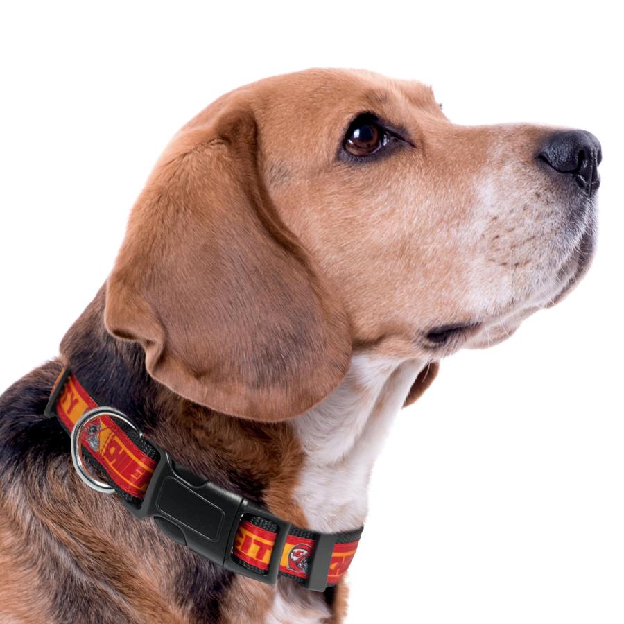 New ＆ Improved Pets First NFL ライセンス PET 首輪 - ヘビーデューティー、強く、耐久性のある新しい犬の首輪32のフットボールチームと4つのサイズで利用可能_2