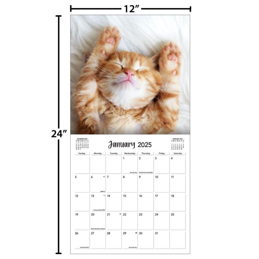 TURNER PHOTOGRAPHIC Curious Kittens 12x12 フォト壁掛けカレンダー(25998940017)_3