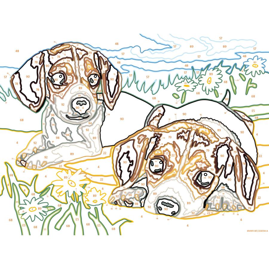 Ravensburger CreArt ビーグル子犬 ペイントバイナンバーキット 子供用 - 12023083 - 絵画アート＆クラフト 対象年齢7歳以上