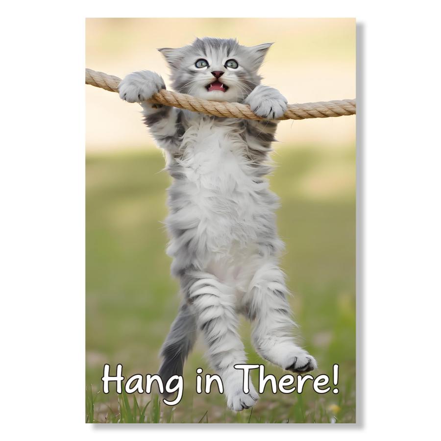 Hang in There Cat ポスター 18x12インチ モチベーションを高める