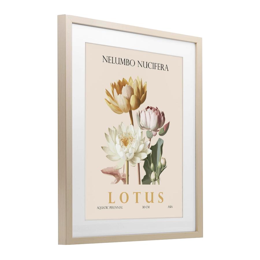 Christopher Giampietroによるデザイン - アメリカ製壁掛けアート - 'Natural Lotus Bundle'、フレームプリントアンダーガラス、ブラウン、13 x 16 Stupell Indu_1