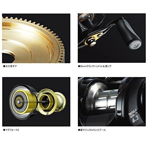 ダイワ(Daiwa) ベイトリール 14 タトゥーラ 103SHL-TW 