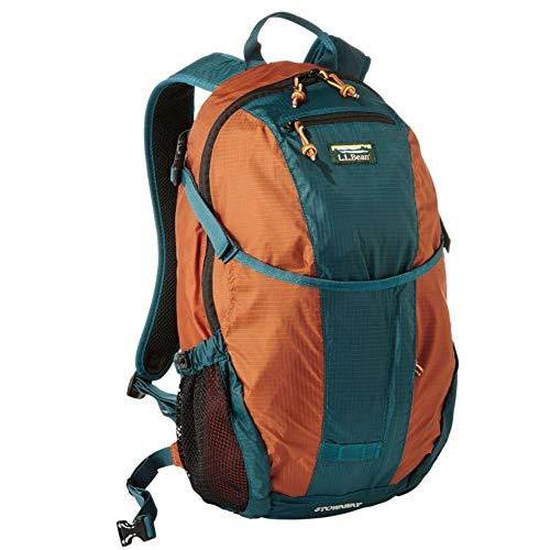 日本製 L.L.Bean 90s スパイダー 刺繍 バックパック 登山 エルエル