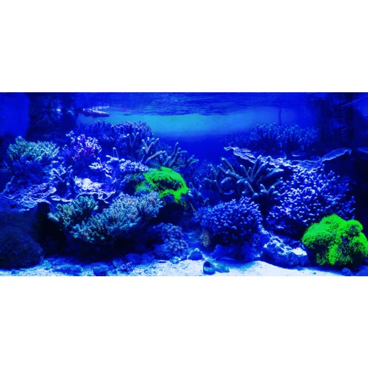 レプトン　マグロ用　マグディー220（夜光色） ACUTER VOYAGER MAK80 鏡筒＋ポータブルマウントセット