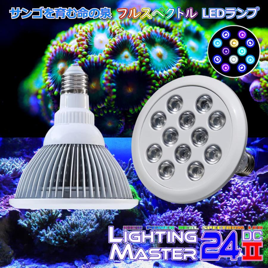 最新仕様【国内組立て】1年保証付 30,000K Lighting Master 24DCII【UV