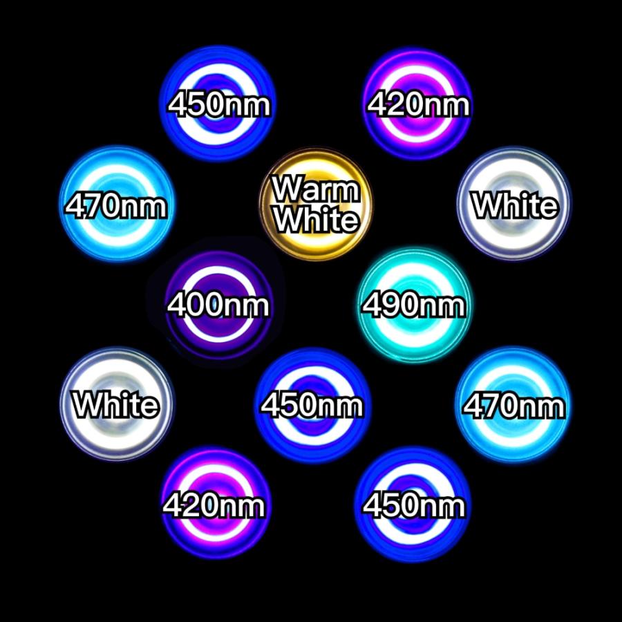 75307774_3