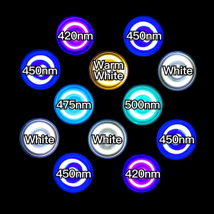 21年最新仕様 国内組立て 1年保証付 000k Lighting Master 24dc マリンブルー サンゴ育成 海水魚飼育用 フルスペクトル E26 スポットledランプ Lm24vp Mb B R S Yahoo ショップ 通販 Yahoo ショッピング