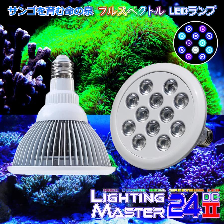 最新仕様【国内組立て】1年保証付 40,000K Lighting Master 24DCII【UV