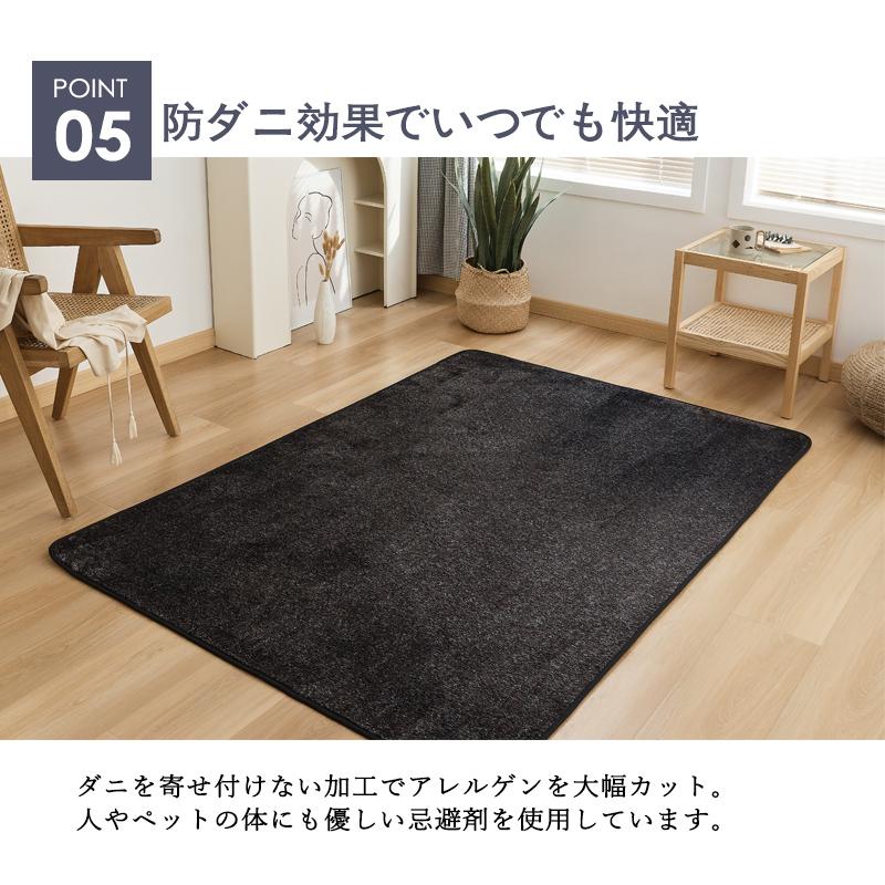 送料無料 ラグ ラグマット 洗える 北欧 200x250 3畳カーペット 送料無料 ラグ ラグマット 洗える 北欧 200x250 3畳カーペット