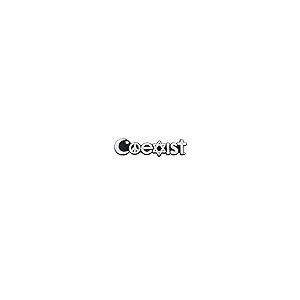 【並行輸入品】Coexist Plastic Auto Emblem   [Silver][5'' x 1 3/4'']の画像