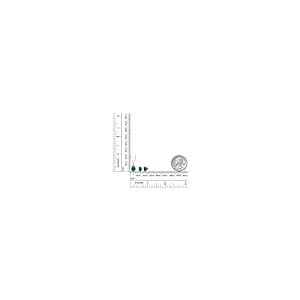 【並行輸入品】[Gem Stone King] 4.63カラット ナノエメラルド ネックレス ピアス セット レディース シルバー925 5月の画像