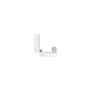 【並行輸入品】[Gem Stone King] 2.45カラット 天然石 ペリドット ネックレス トップのみ レディース 天然 ダイヤモンド 1の画像