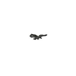 【並行輸入品】Flying Eagle 3d車オートバイエンブレム ブラック FEH2385 Flying Eagle 3D Car Motorの画像