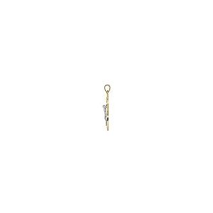【並行輸入品】14K ツートーン ゴールド ケルティック インリ 主イエス キリスト 十字架 ネックレス チャーム ペンダント 宗教的 アイオナの画像