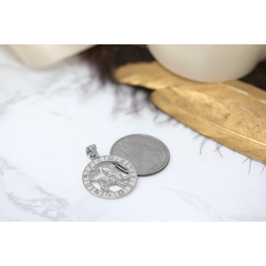 【並行輸入品】CaliRoseJewelry スターリングシルバー 星座ペンダントネックレス CaliRoseJewelry Sterling_6