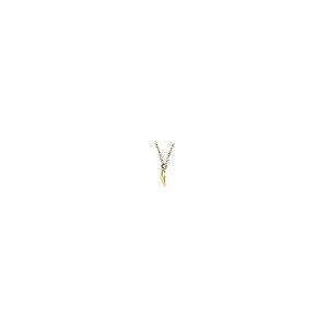 【並行輸入品】Diamond2Deal 14K Yellow Gold Convex Pendant 18" Necklace Fine Jeの画像