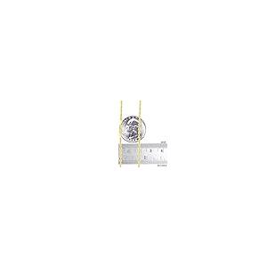 【並行輸入品】Nuragold 10K イエローゴールド 2.5mm ダイヤモンドカット ロープチェーン ペンダントネックレス メンズ レディーの画像