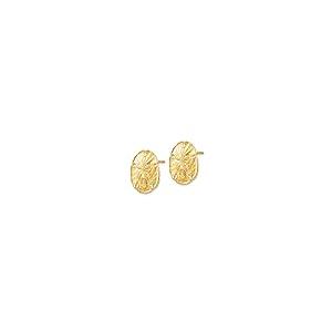 【並行輸入品】ソリッド14Kイエローゴールド ラージサンドダラーポストスタッドピアス 16mm, 金属 Solid 14k Yellow Golの画像