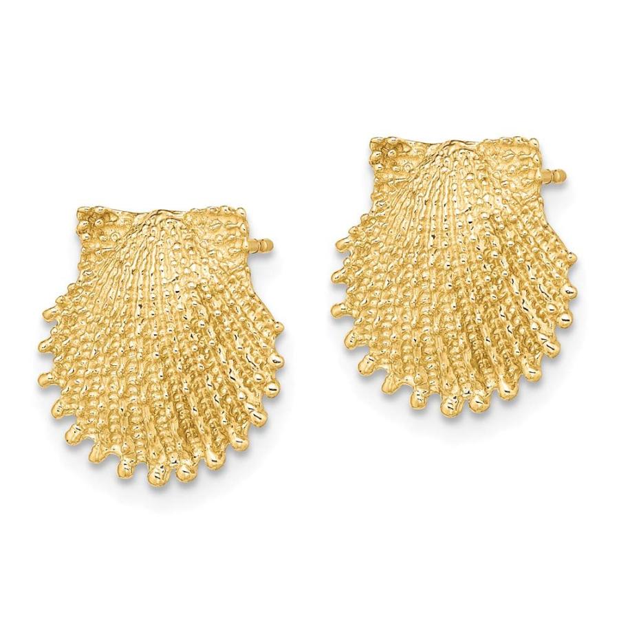 【並行輸入品】Solid 14k Yellow Gold Beaded Scallop Shell Post Studs Earrings 1の画像