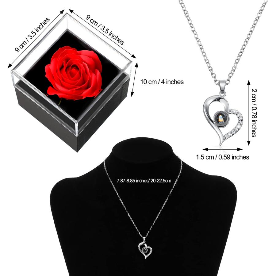 【並行輸入品】Hicarer I Love You ネックレス 100ヶ国語プロジェクションハートペンダントネックレス 赤いバラ付き ジュエリー