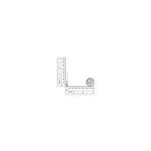 【並行輸入品】[Gem Stone King] 0.50カラット 天然ブラックダイヤモンド シルバー925 イエローゴールド 加工 砂時計 ネッの画像