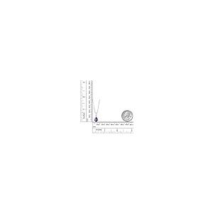 【並行輸入品】[Gem Stone King] 1.8カラット 天然 アメジスト ネックレス レディース ラボグロウンダイヤモンド シルバー92の画像