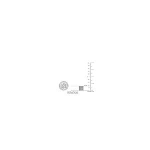 【並行輸入品】Dazzlingrock Collection 0.55 Carat (ctw) Diamond Ice Cube Men'sの画像