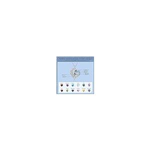 【並行輸入品】LAGOFIT カスタム誕生石ネックレス 2~8名入れ イルカ 母親ネックレス レディース カスタマイズジュエリーギフト お母さん_5