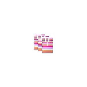 【並行輸入品】HSQCEZ 3 Pack(27Pcs) Sunset Lesbian Rainbow Flag Decal  Tacticalの画像