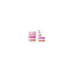 【並行輸入品】HSQCEZ 3 Pack(27Pcs) Sunset Lesbian Rainbow Flag Decal  Tacticalの画像
